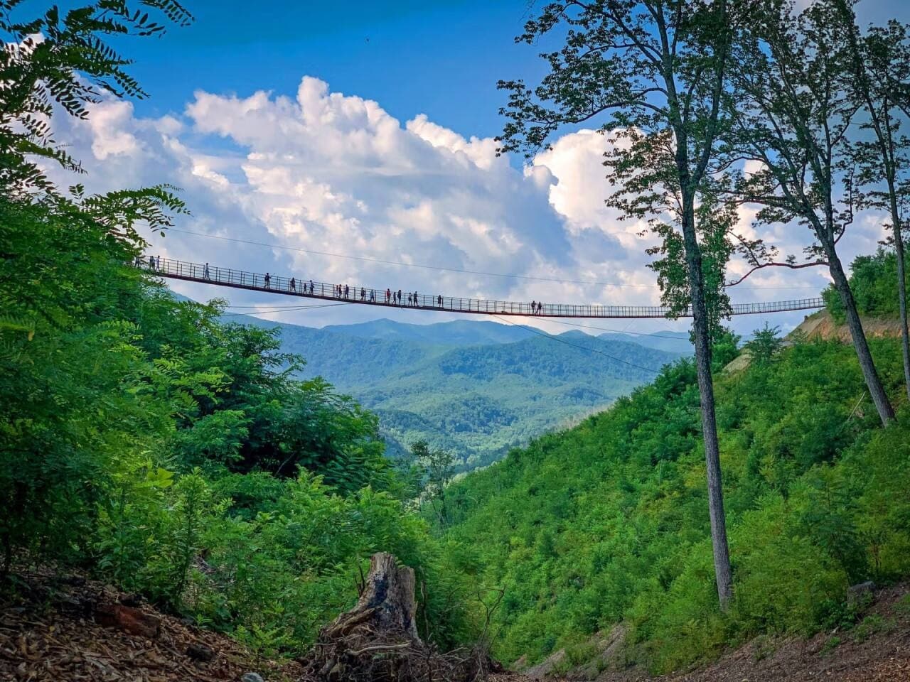 Walk on Air – The Gatlinburg SkyBridge is just 20 minutes away. Take a step into the clouds—don’t worry, it’s stronger than it looks!