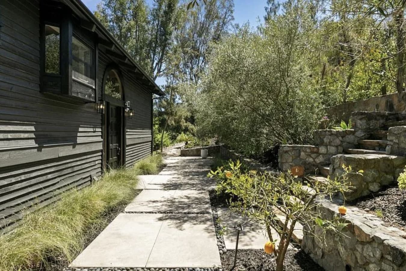 Peaceful backyard — Embrace the lush greenery.