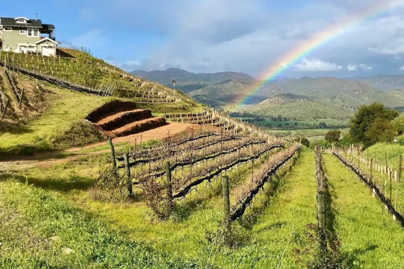 Highland Valley Vineyards – 20 min drive. Relax and sip wine at this picturesque vineyard, known for its breathtaking views and serene atmosphere.