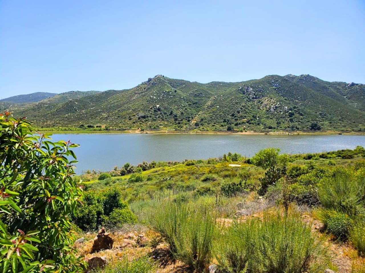 Lake Hodges – 10 min walk. A peaceful spot for boating, fishing, or scenic strolls — visible right from home! See the City of San Diego website for details on the Lake's rules and policies.