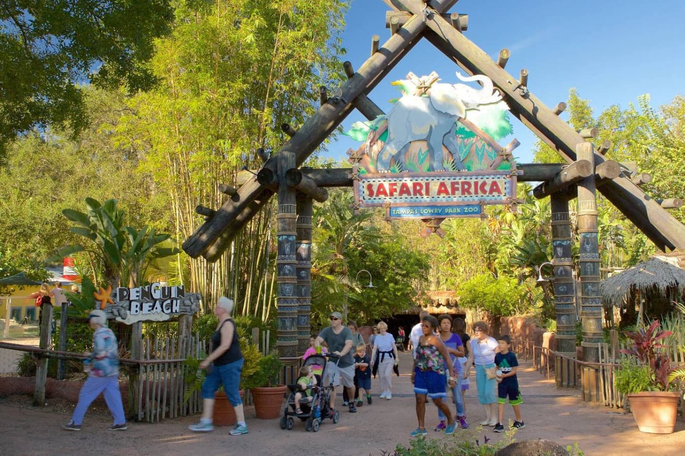 Lions, tigers, and Tampa fun—ZooTampa is only 10 minutes away.