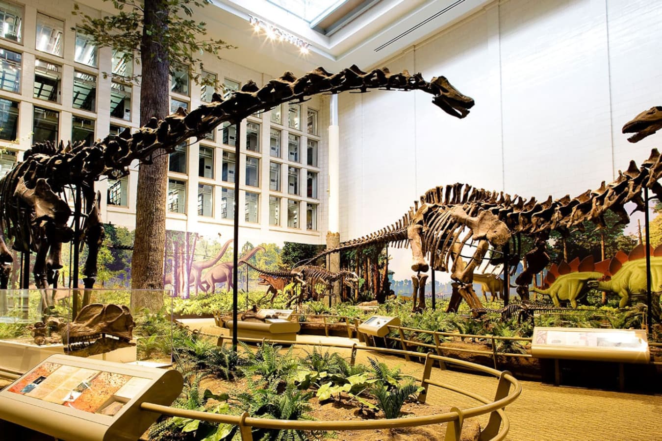 Explore world-class exhibits—Carnegie Museum of Natural History just 12 minutes away.