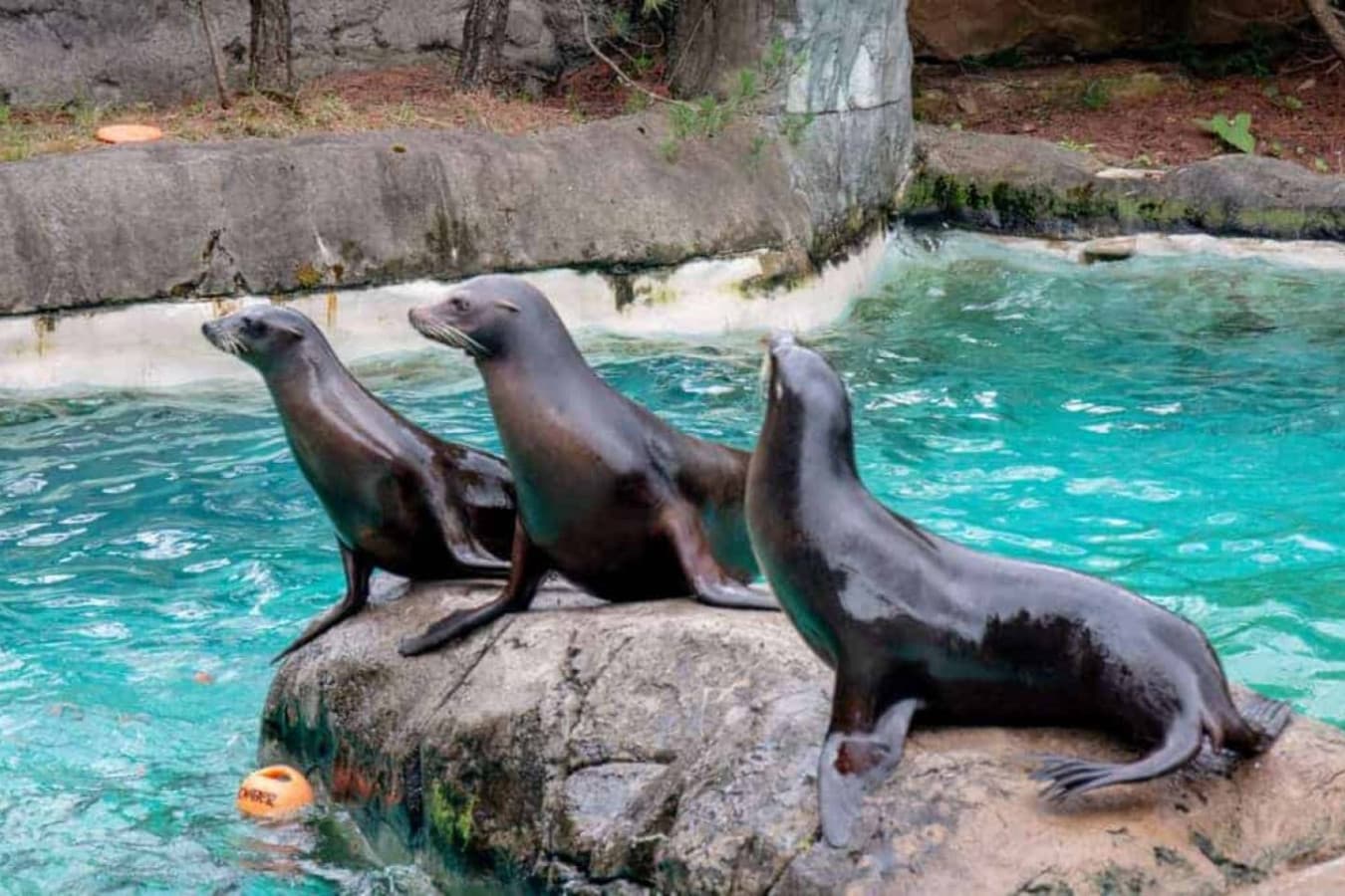 Just 20 minutes to Pittsburgh Zoo & Aquarium—a wild day out for all ages.