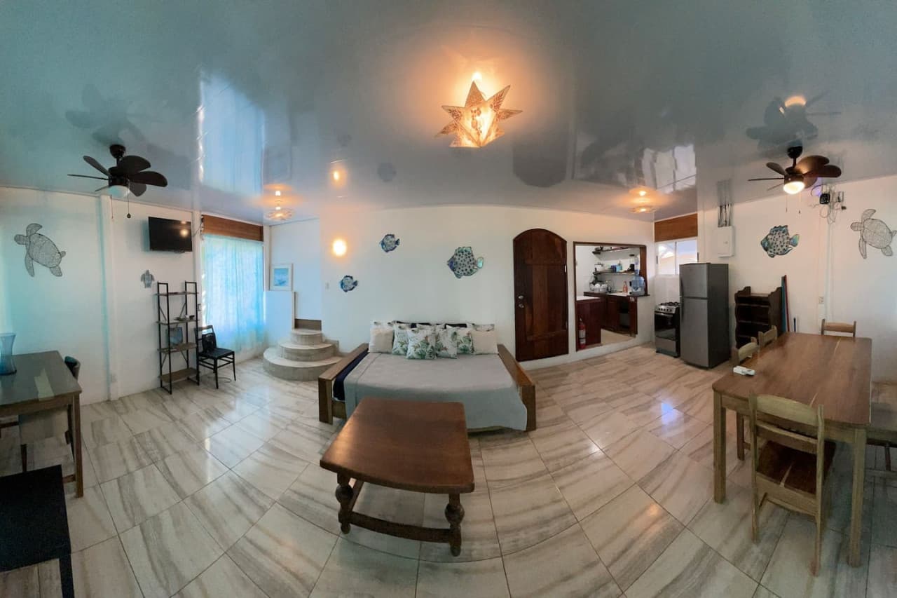 Gallery Image 7