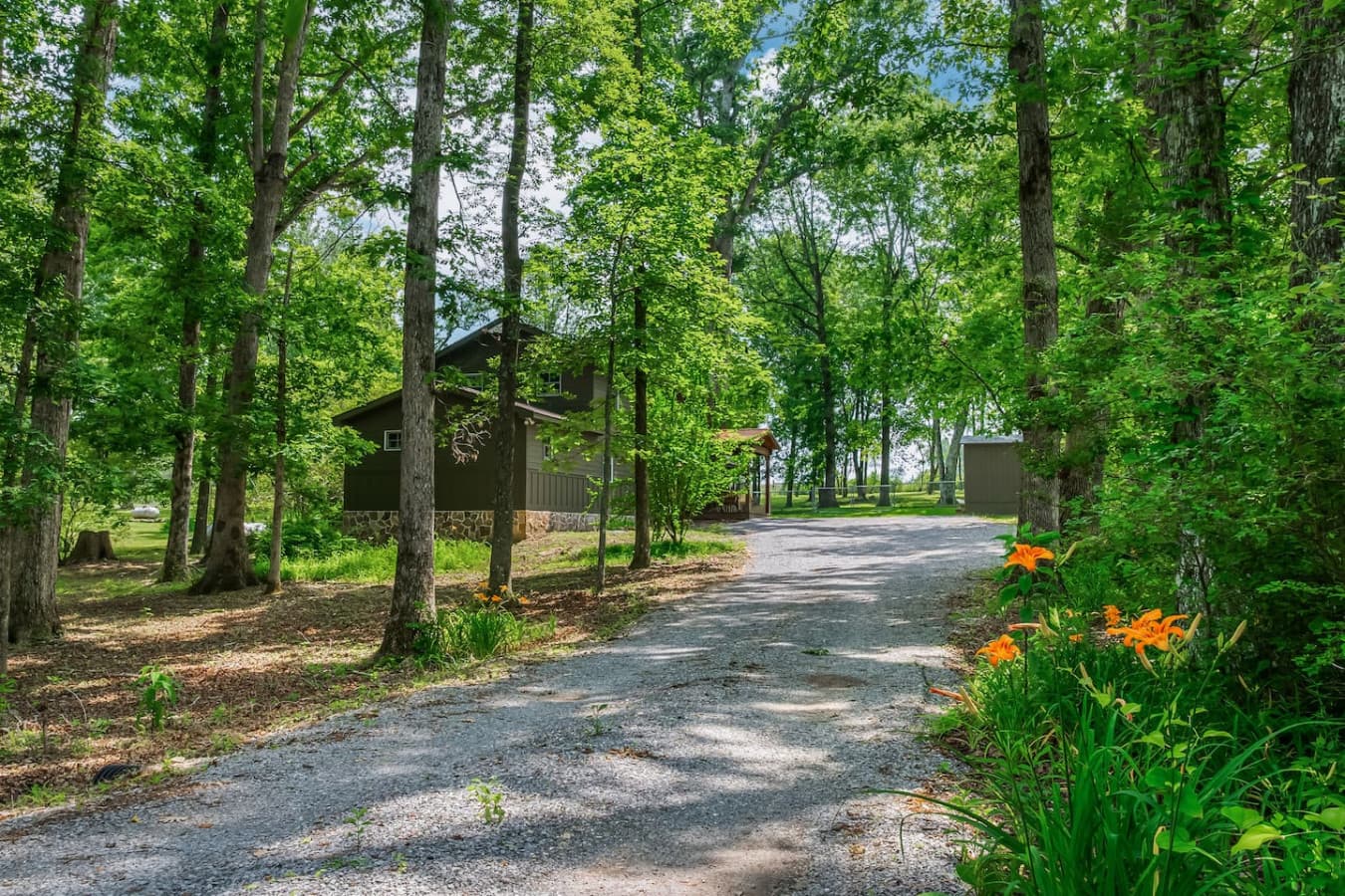 The scenic route to your getaway—where traffic jams mean a squirrel crossing.