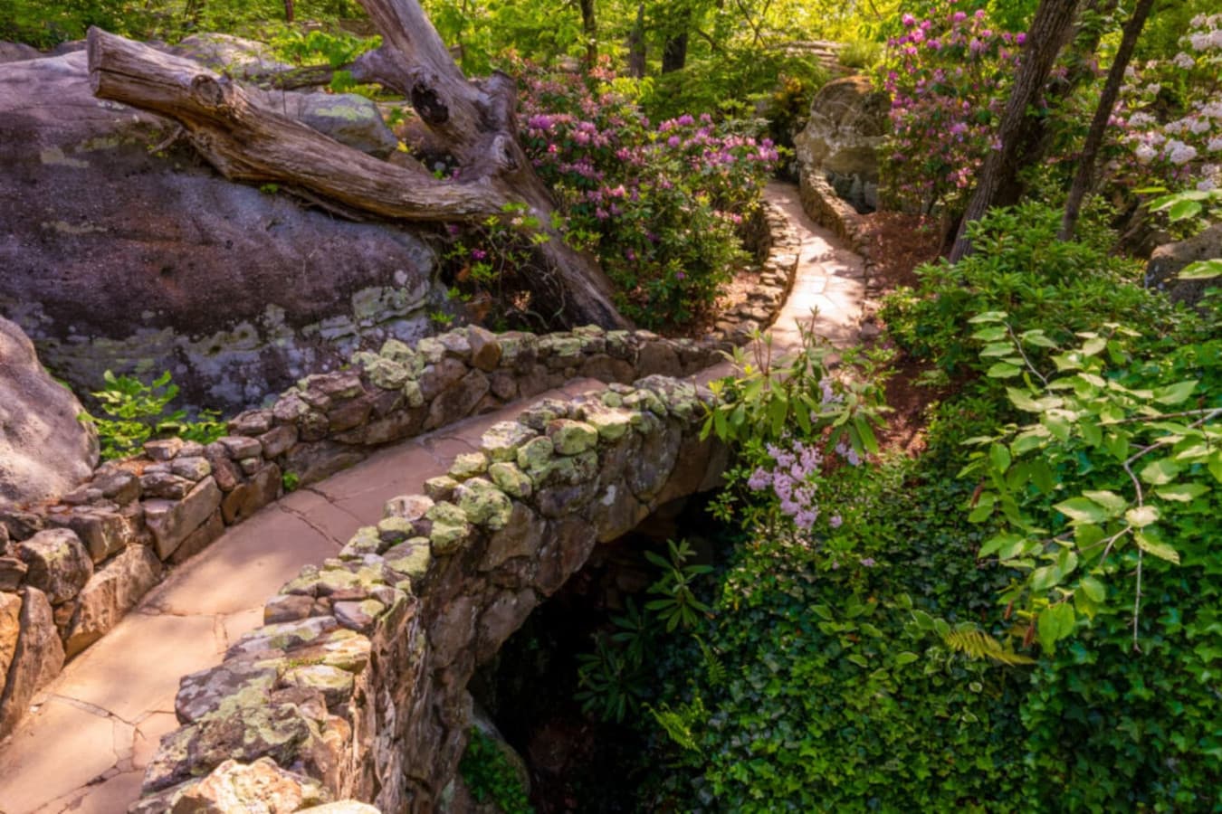 45 minutes to Rock City—where the views are "rock" solid, and the hikes are full of surprises.