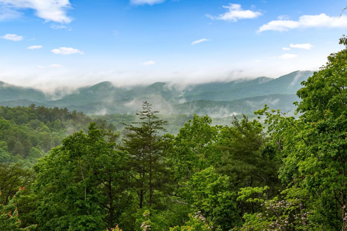 No need for a postcard when you’ve got views like this—nature’s masterpiece, right at your doorstep.