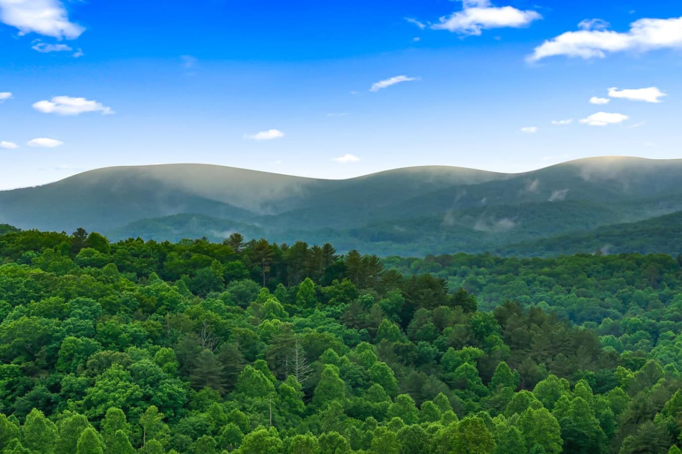 Majestic and serene—immerse yourself in nature with breathtaking mountain views that stretch for miles.