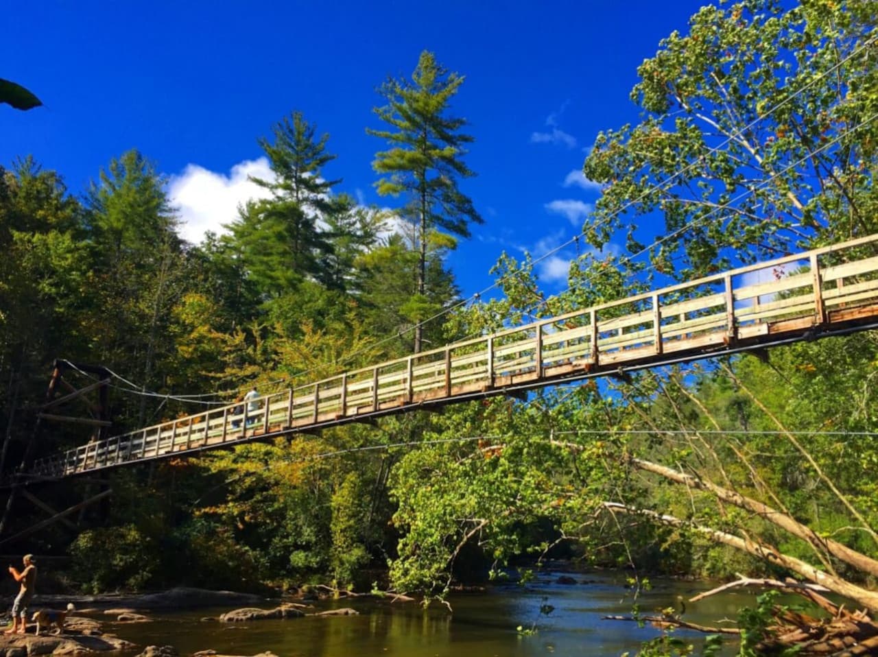The Toccoa River Suspension Bridge: a little bounce, a lot of beauty, and totally worth the 1-hour trip.