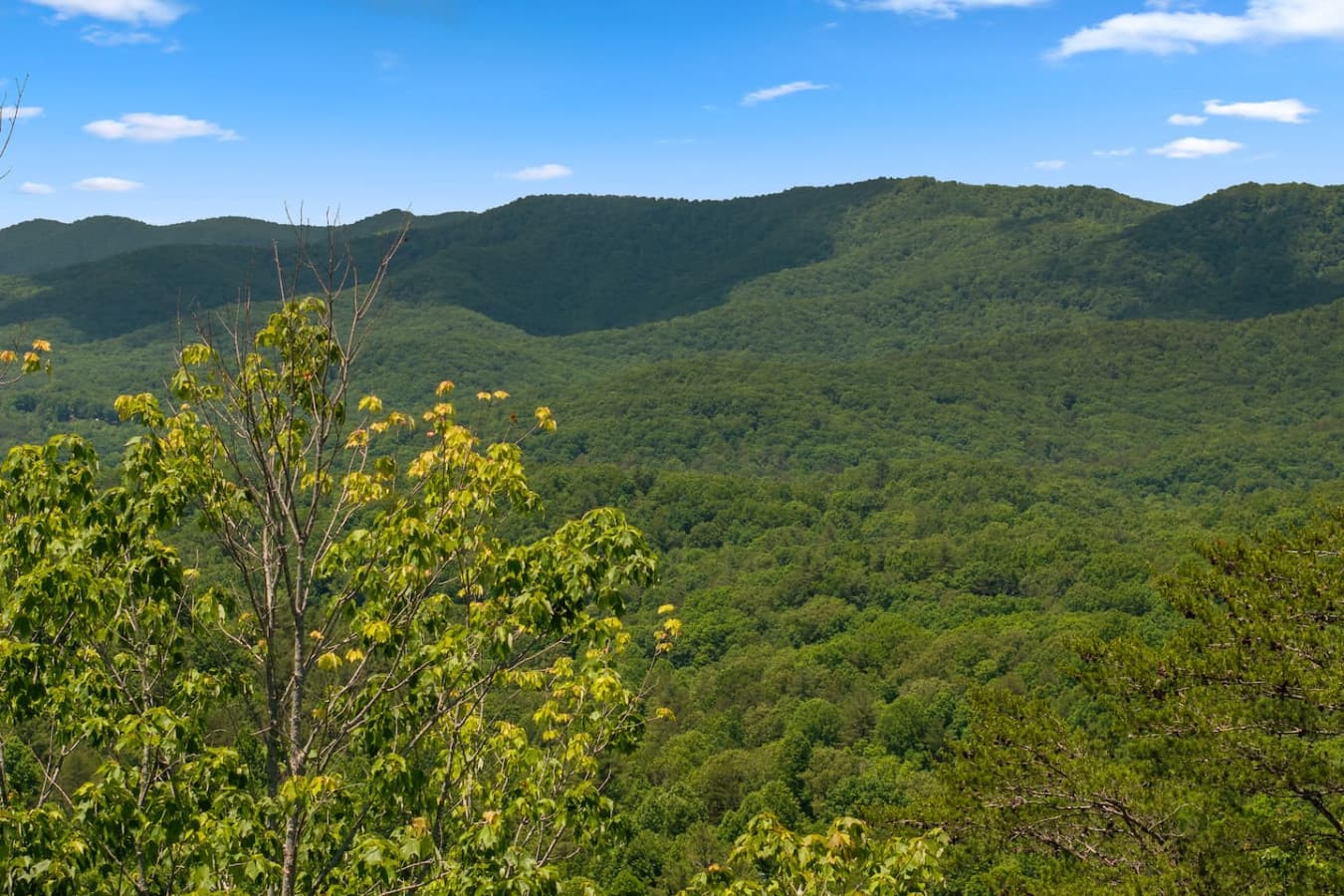 The mountains are calling, and their beauty is unmatched—experience tranquility at its finest from every angle.