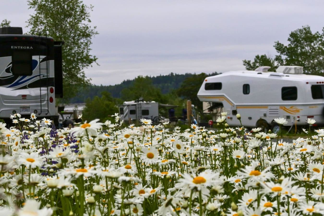 Shots within the West Bay Acadia RV Campground.
