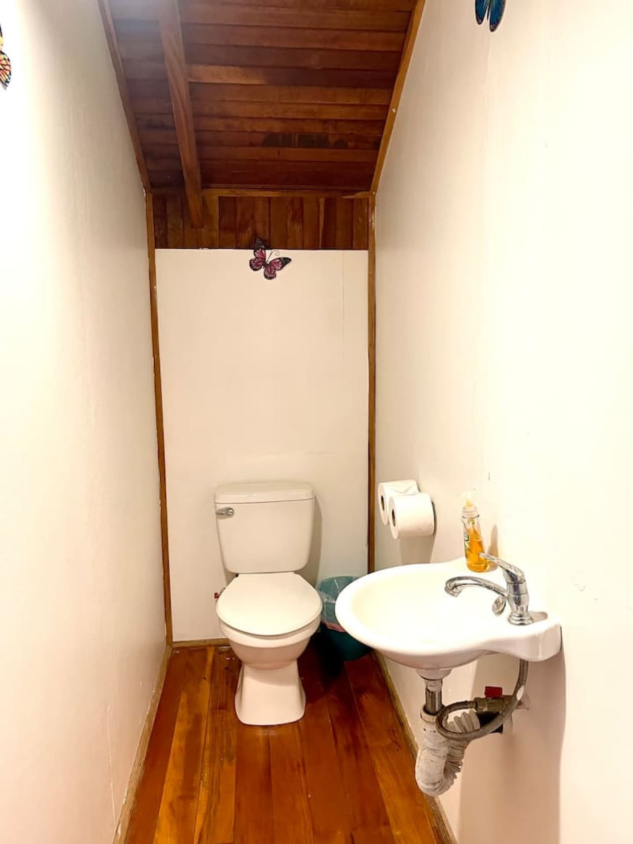 Gallery Image 20