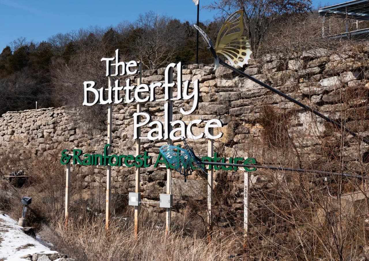 Take an adventure through the rainforest and explore over 1,000 live exotic butterflies