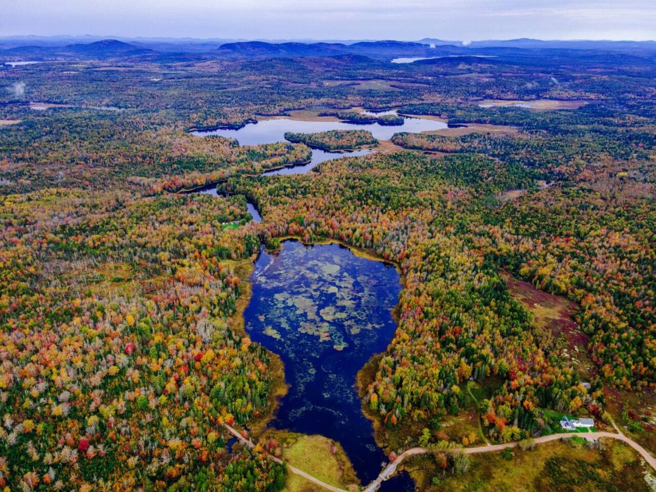 Day Ridges Preserve (Frenchman Bay Conservancy) -
Enjoy peaceful forested trails and panoramic views of Frenchman Bay — perfect for a short morning hike.