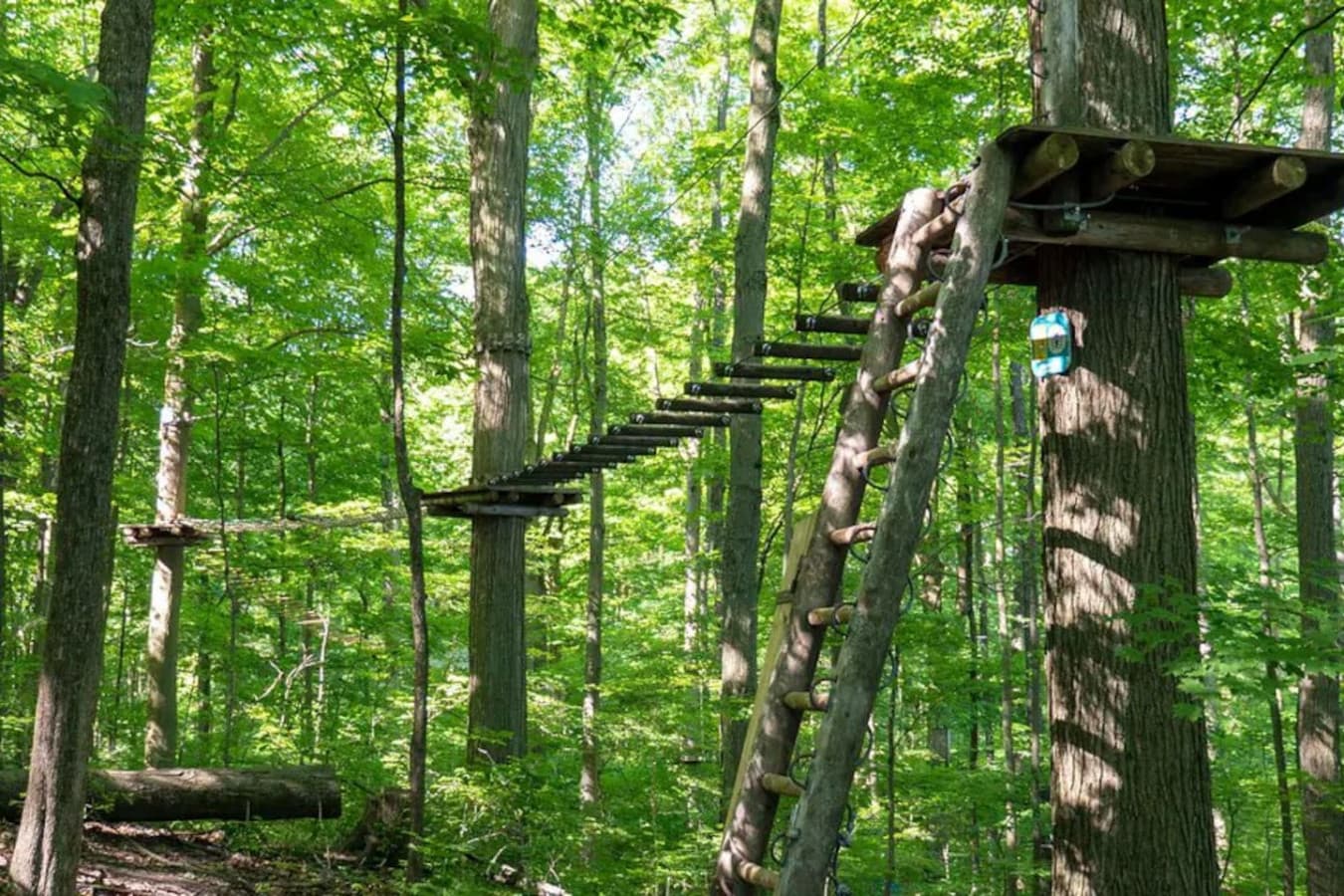 Zip, climb, and swing your way through the treetops—just a 15-minute drive to Boler Mountain’s Treetop Adventure Park!