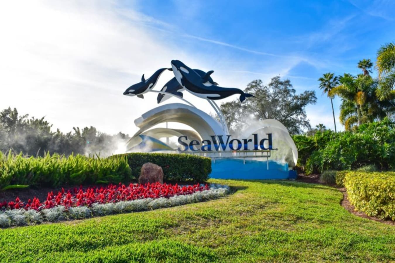 Your nearby ocean-themed adventure — SeaWorld Orlando just a quick 30 minute drive away.