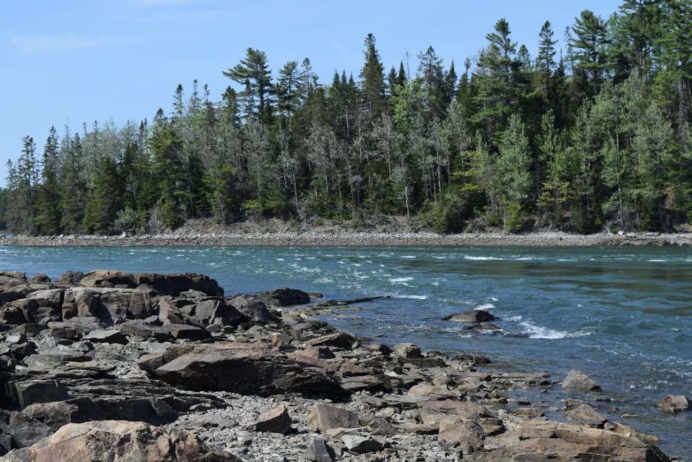 Tidal Falls Preserve -
Witness Maine’s famous reversing falls and explore scenic walking trails surrounded by natural beauty. Great for picnics and photos.