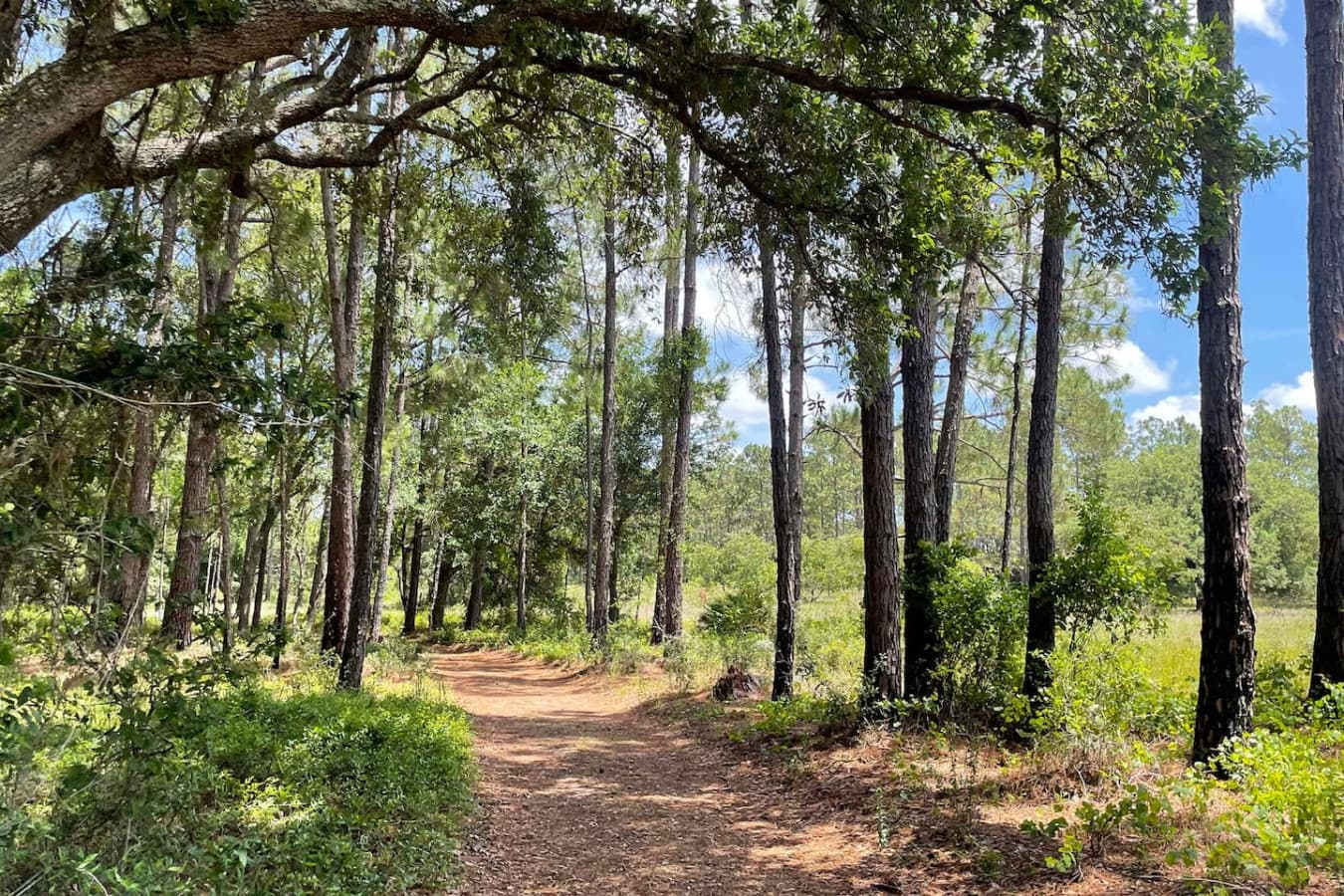 Lake Louisa State Park just a 35-minute drive away — nature, trails, and open skies waiting to be explored.