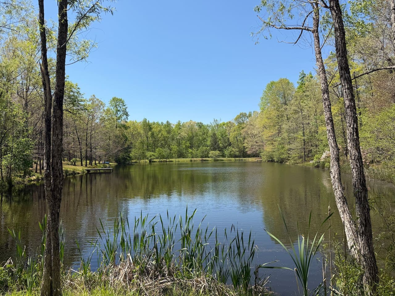 Cast a line, sit back, and let the pond set the pace.
