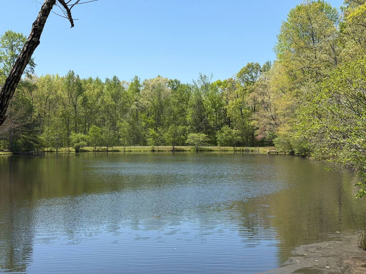 Sit by the water, relax, and see what the pond brings in.