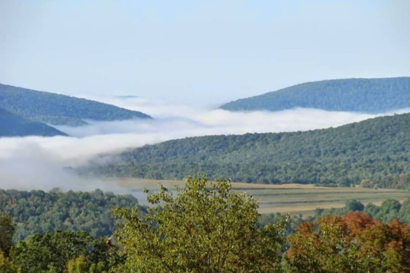Wake up to sweeping scenery that reminds you why you came to Tioga.