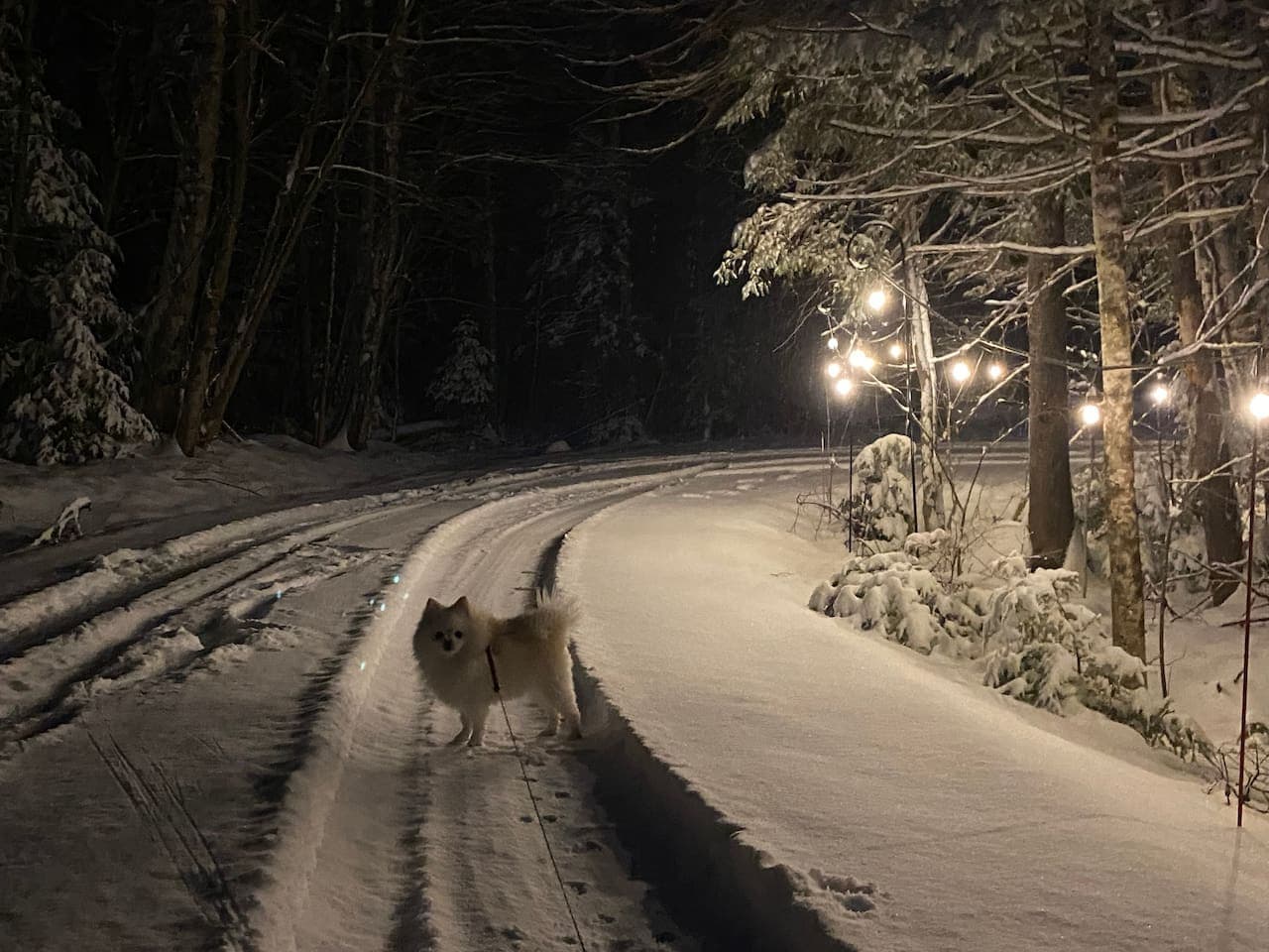 After dark, just follow the string lights in the driveway to get to your home away from home!