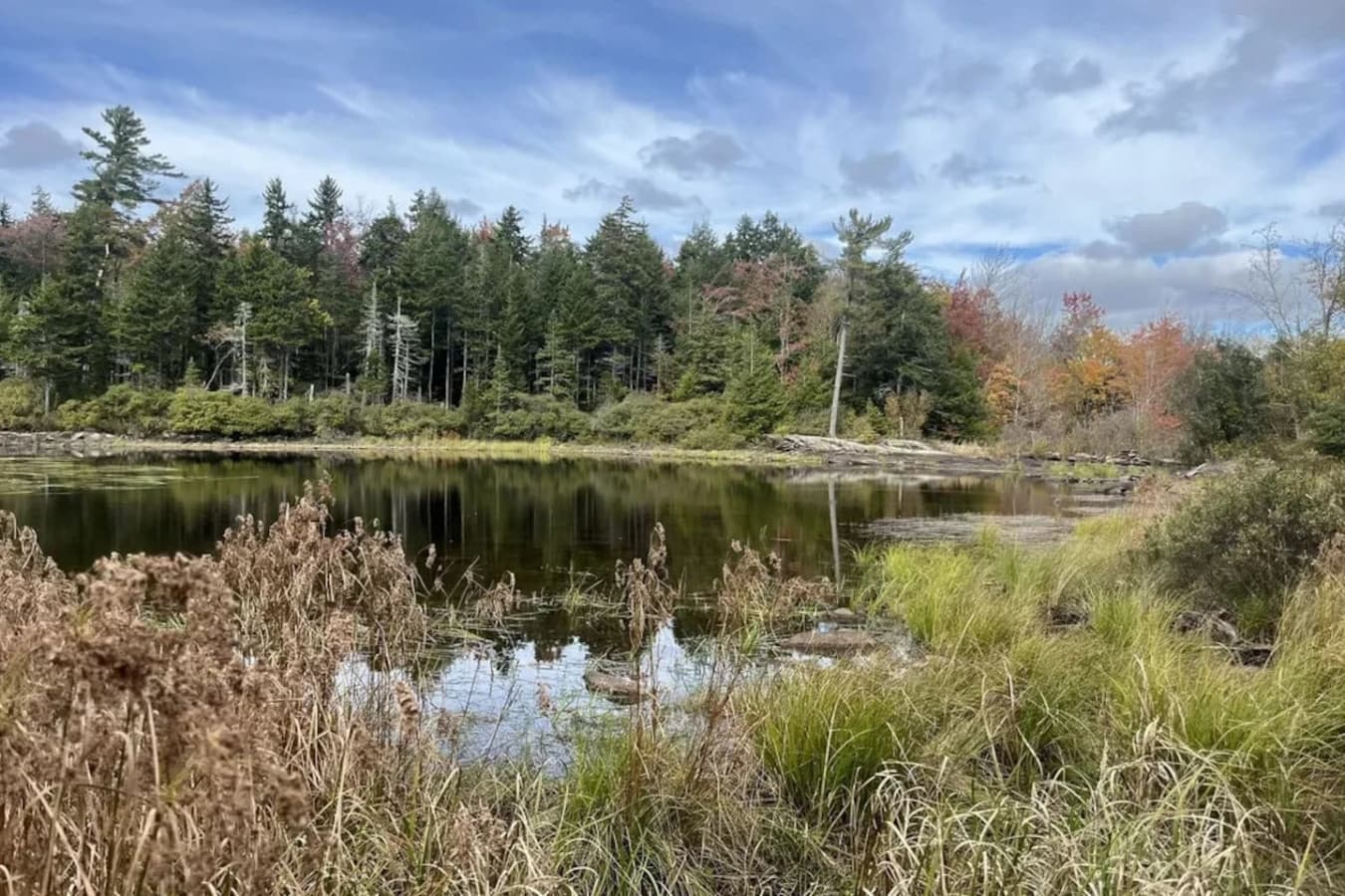Take a quick 8-minute trip to Tiny Pond—where the only thing tiny is the name, and the wildlife is abundant!