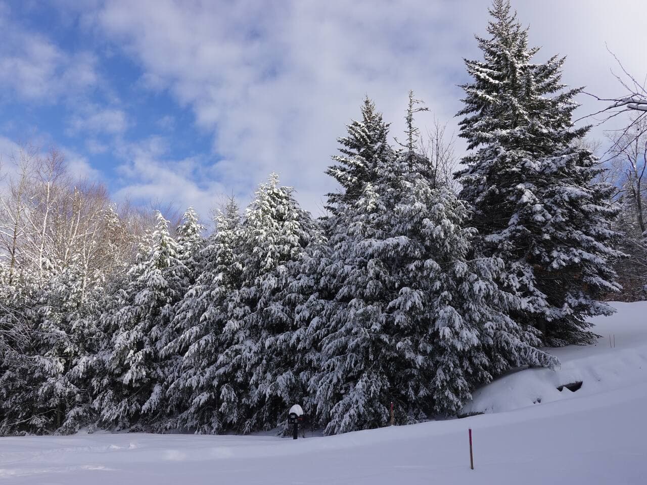 A winter wonderland that invites you to embrace the serenity of snow-covered nature, right at your doorstep.