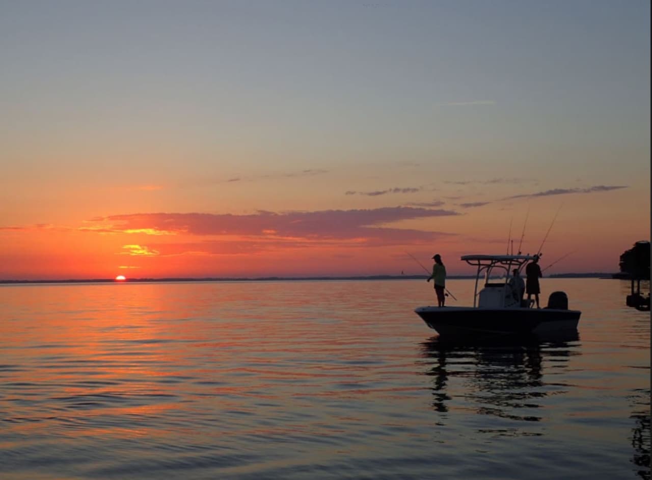 Rent a boat or simply enjoy the lake breeze at this full-service marina on Lake Dora.