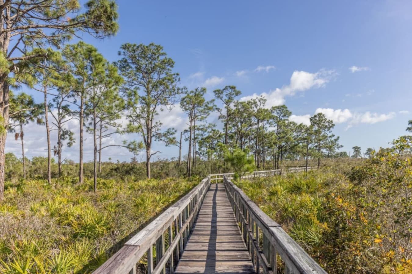 Connect with nature on this lakeside trail.