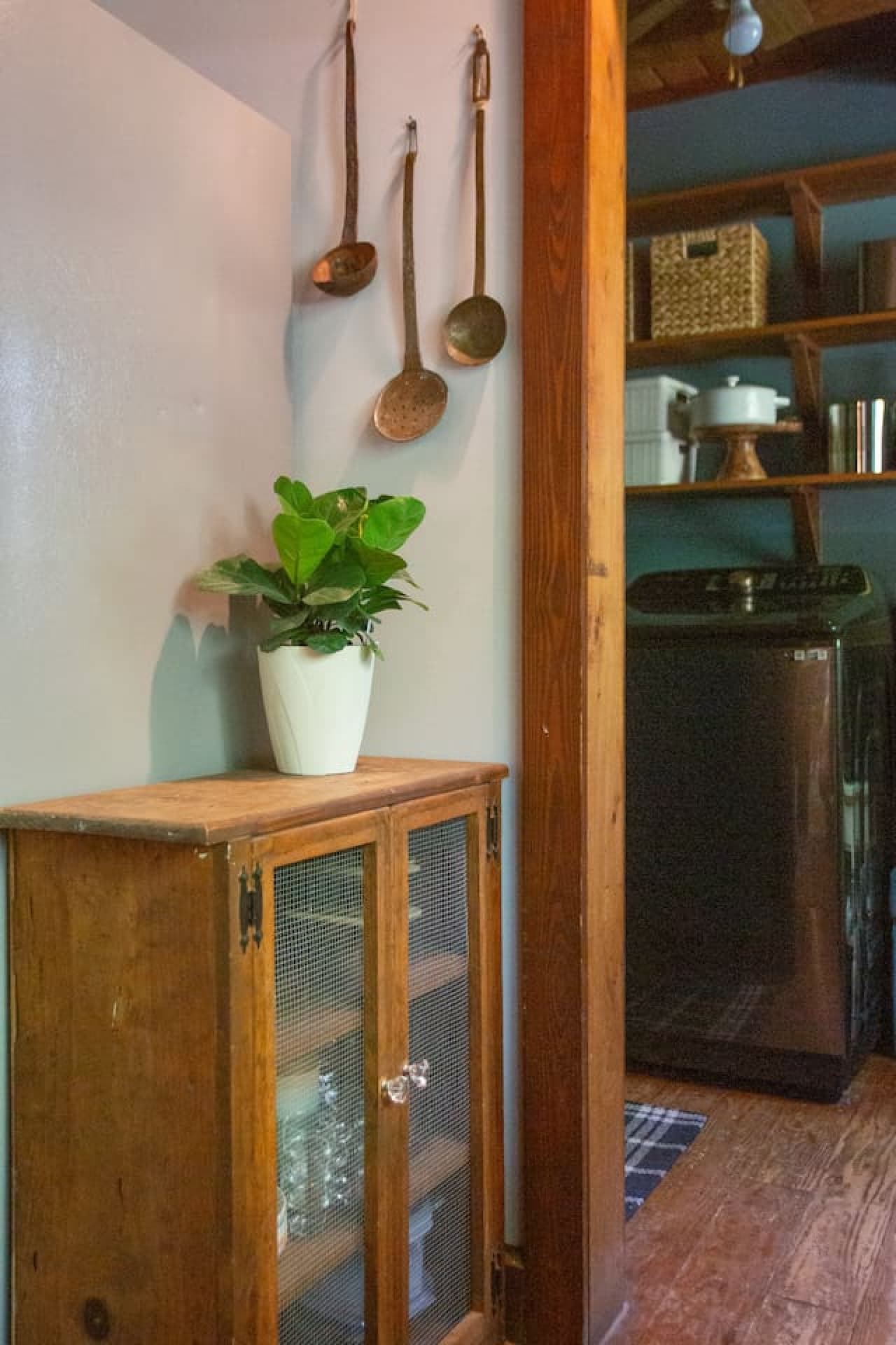 Cabin on the Haw: This cupboard holds the tools for your meals and a little green inspiration.