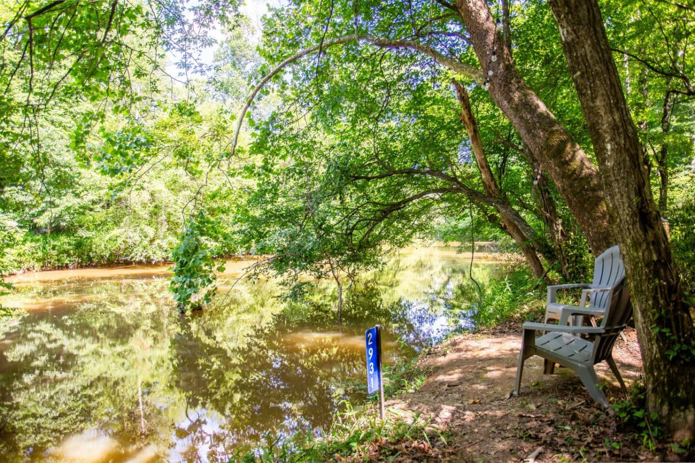 Cabin on the Haw: Your private riverside retreat—pull up a chair and let the peaceful flow soothe your soul.