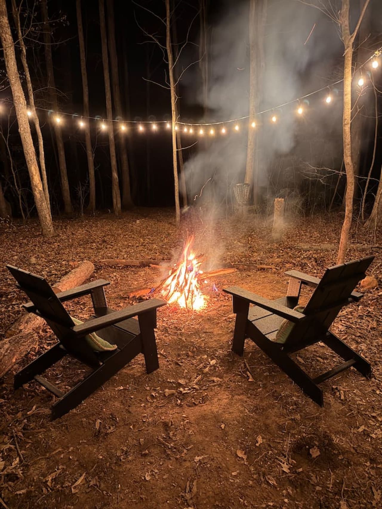 Luna Studio: Enjoy direct access to the Haw River and a peaceful fire pit for cozy nights under the stars.