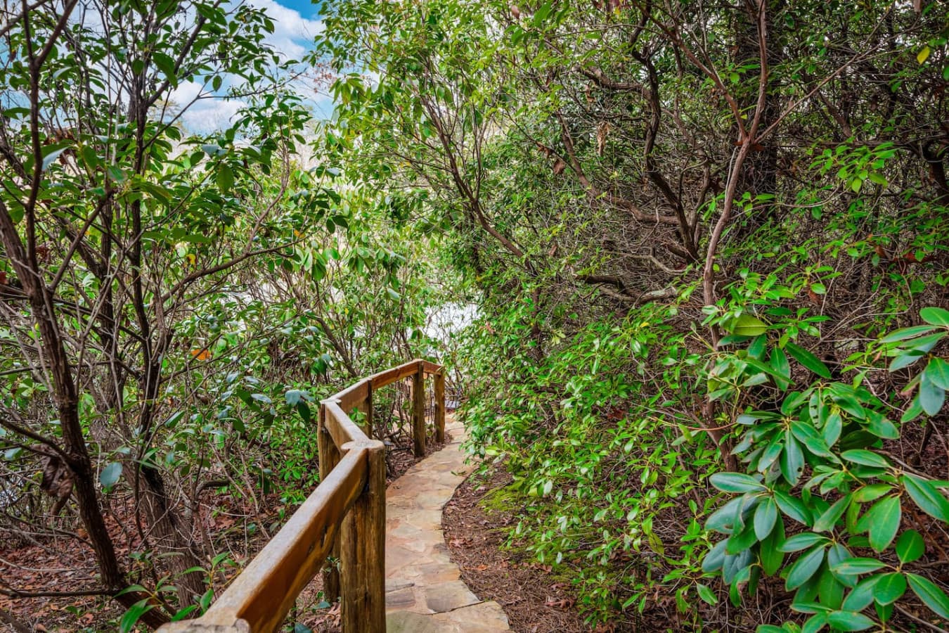 Scenic trail leading to the private dock.