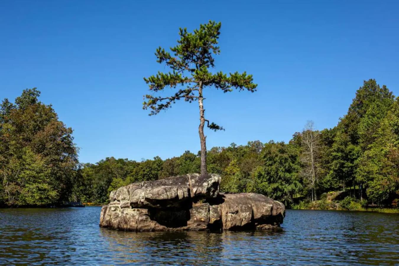 Goose Island is a short kayak ride from the home. Enjoy a picnic or jumping off the rock.