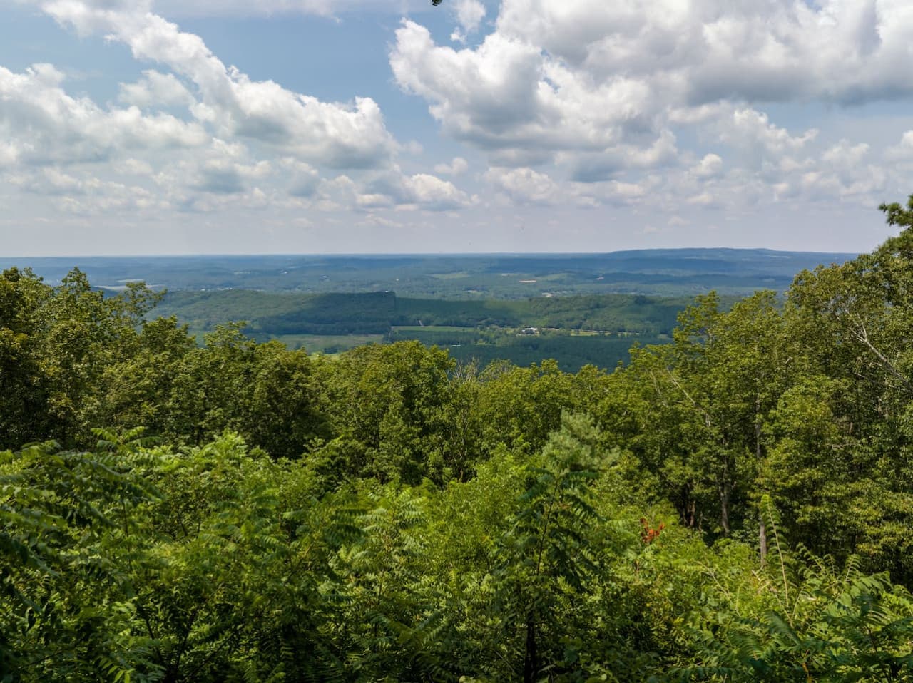 View from The Cool Breeze Cottage.