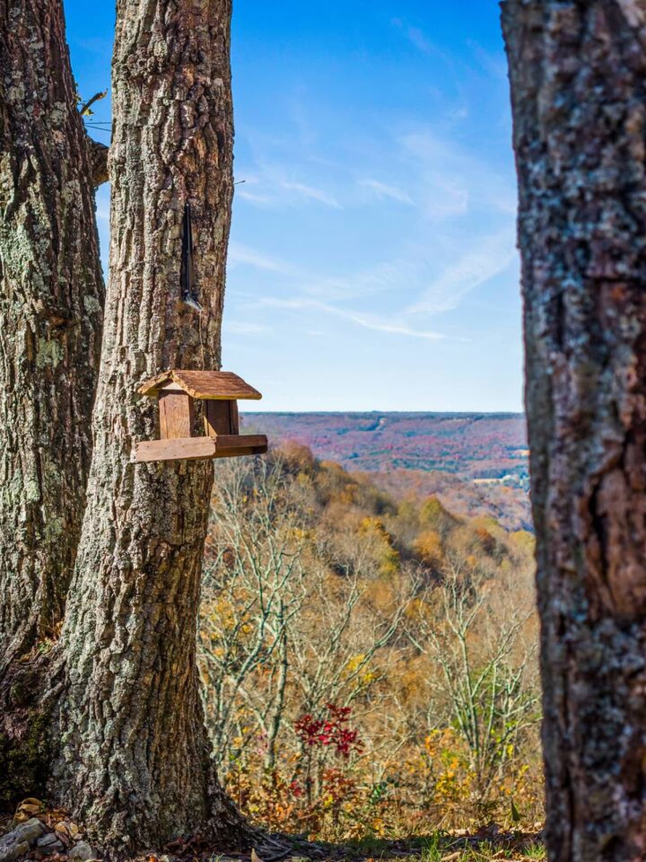 Exquisite surroundings await!