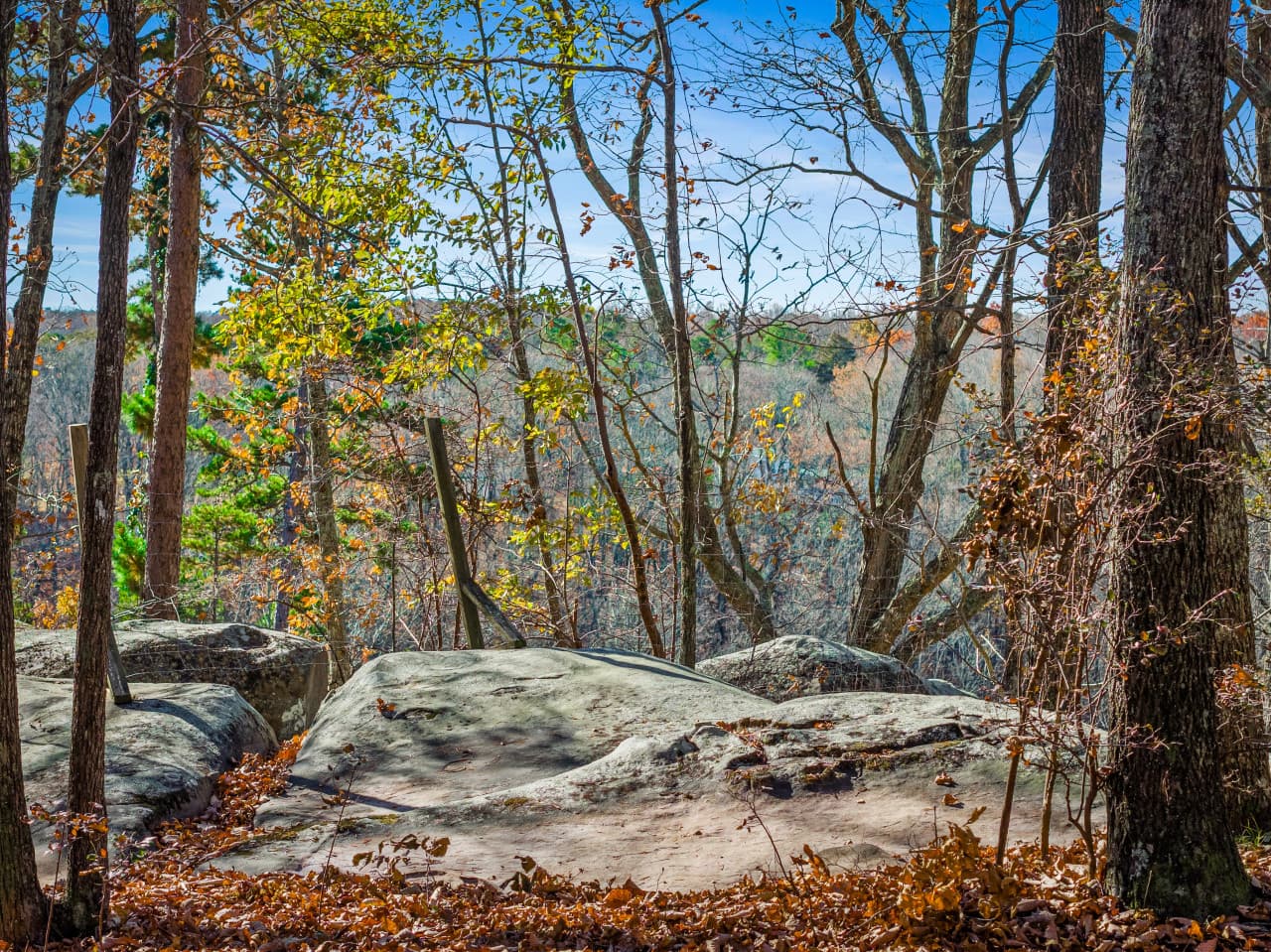 Mentone Mountain Getaways 15879 County Road 89-62.jpg
