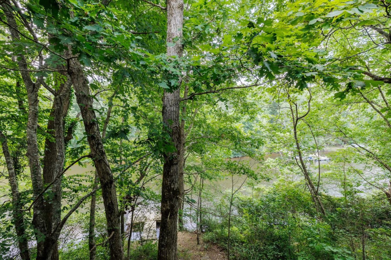 View from the porch of the river and dock.