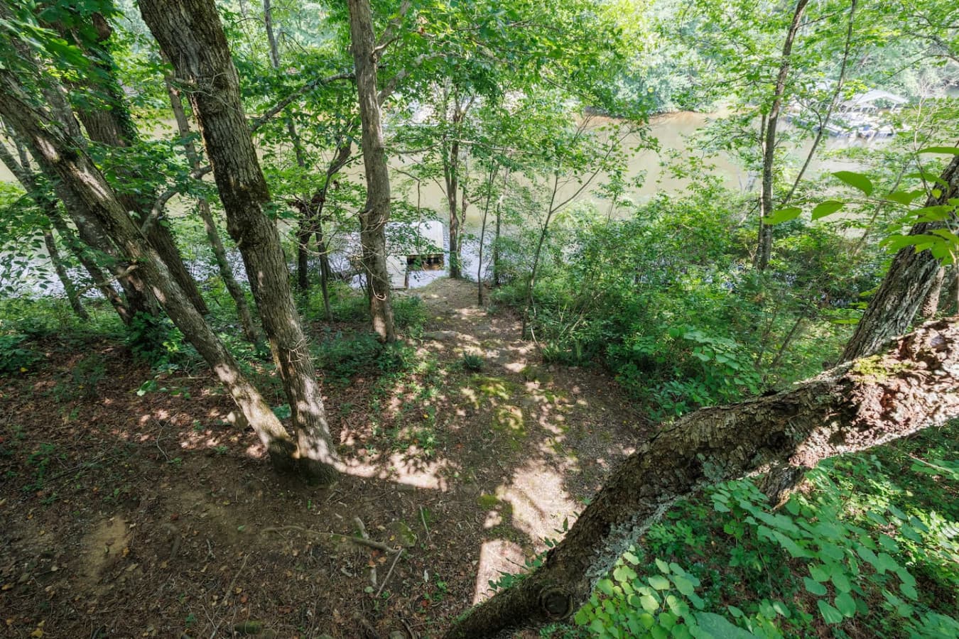Trail down to the private dock.