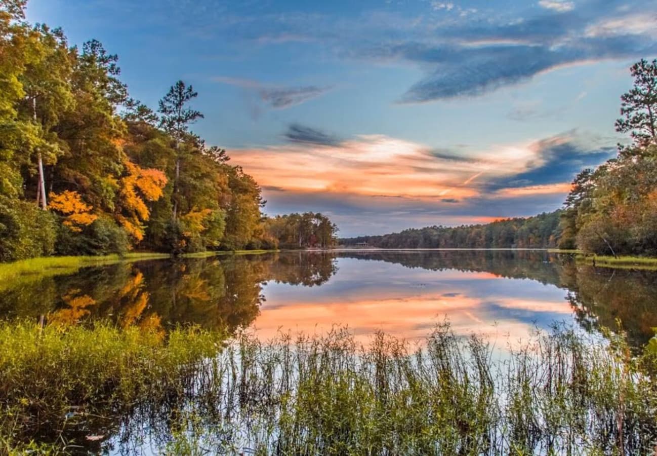 Oak Mountain State Park (20 min drive) - This is the perfect family destination from your Center Point location. Oak Mountain State Park offers hiking, fishing, a petting zoo, and a lake with a beach for swimming during warmer months.