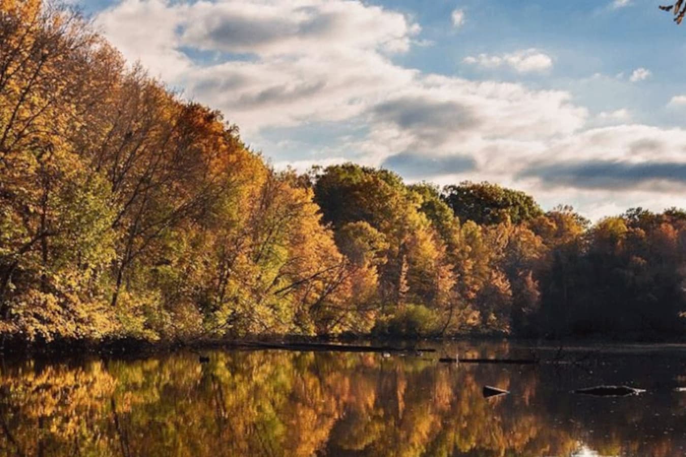 Enjoy peaceful views and the natural beauty of this scenic oasis at Coves Lake.