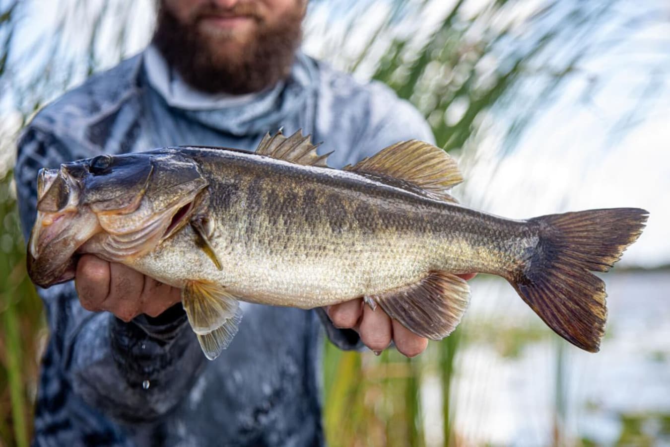 Are you going to be catching the next trophy fish?