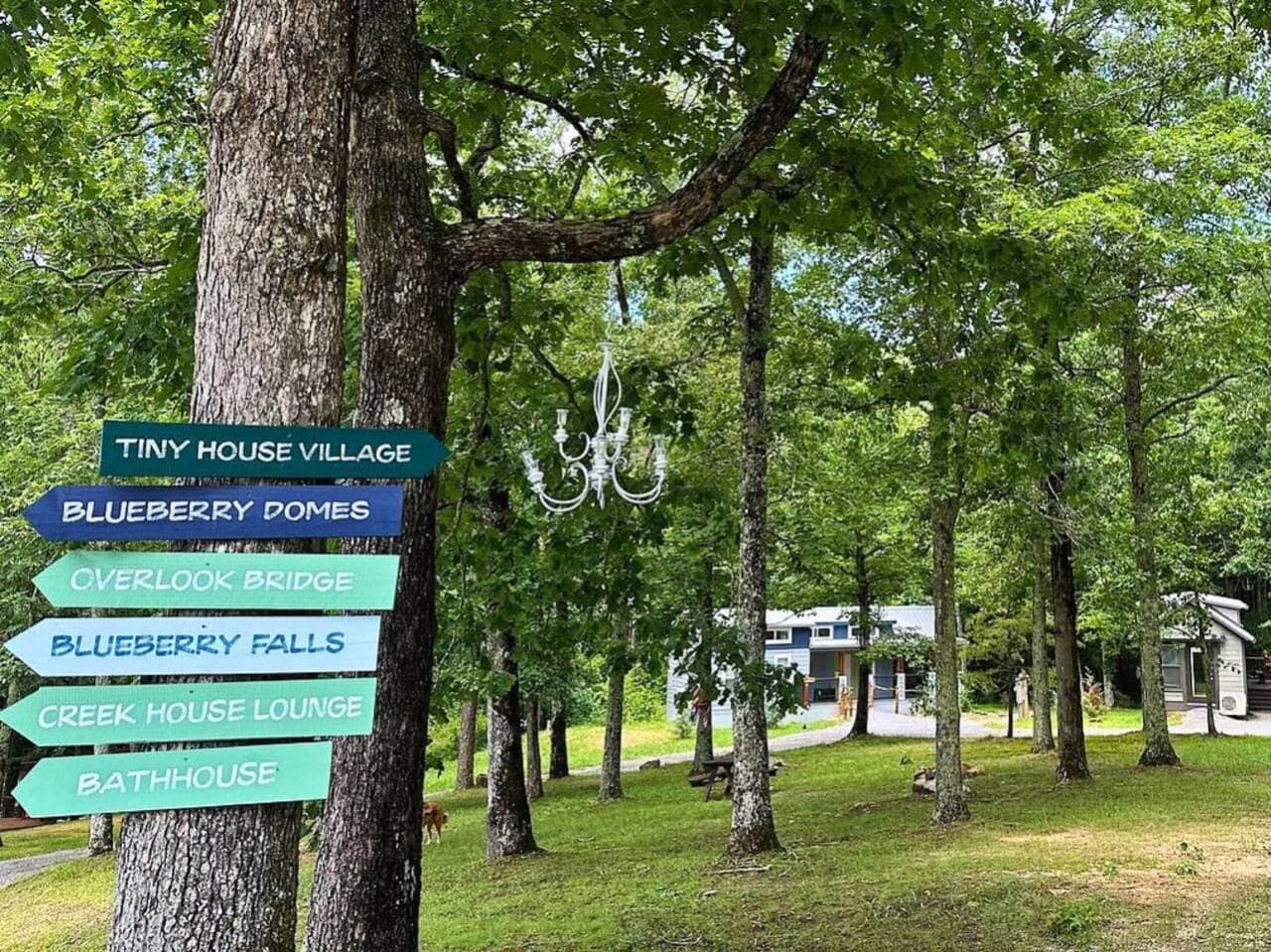 Blueberry Falls Farm offers a peaceful retreat surrounded by creeks, waterfalls, and blueberry fields—a perfect blend of nature, relaxation, and small-town charm.