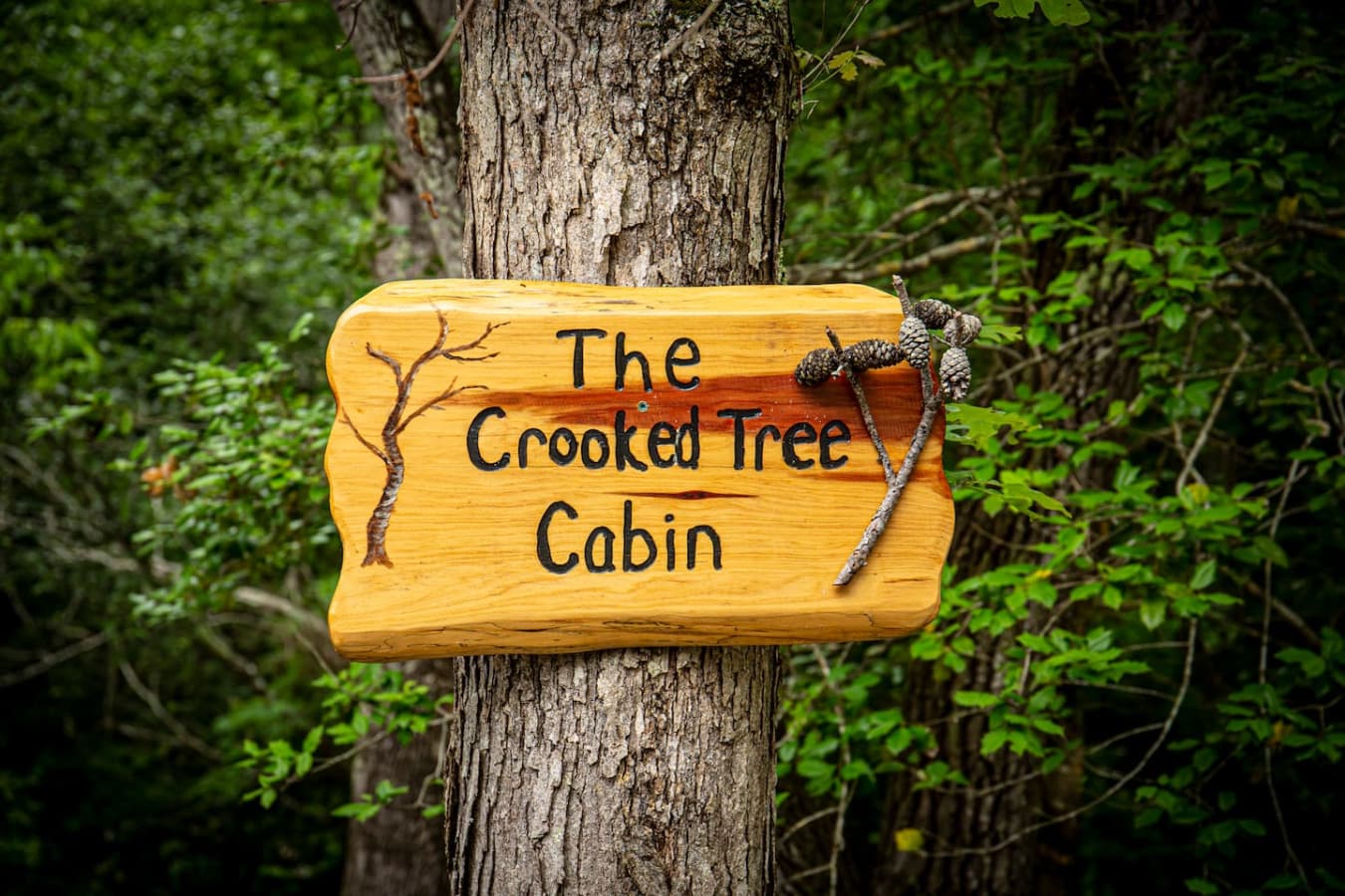 The Crooked Tree Cabin—your cozy creekside retreat nestled within the peaceful beauty of Blueberry Falls Farm.
