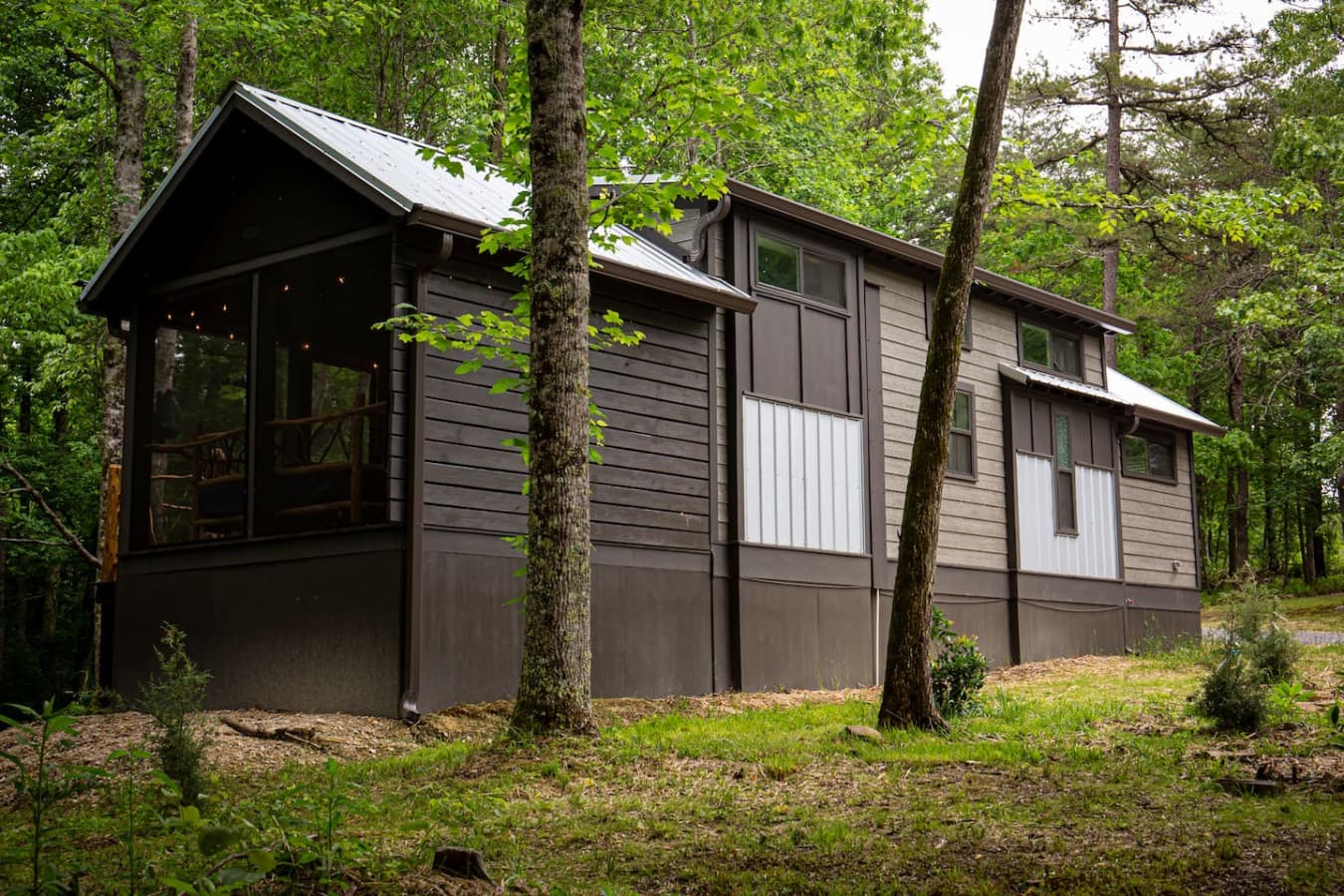 Nature meets comfort at The Crooked Tree Cabin, a rustic retreat perfectly at home in the Blueberry Falls landscape.