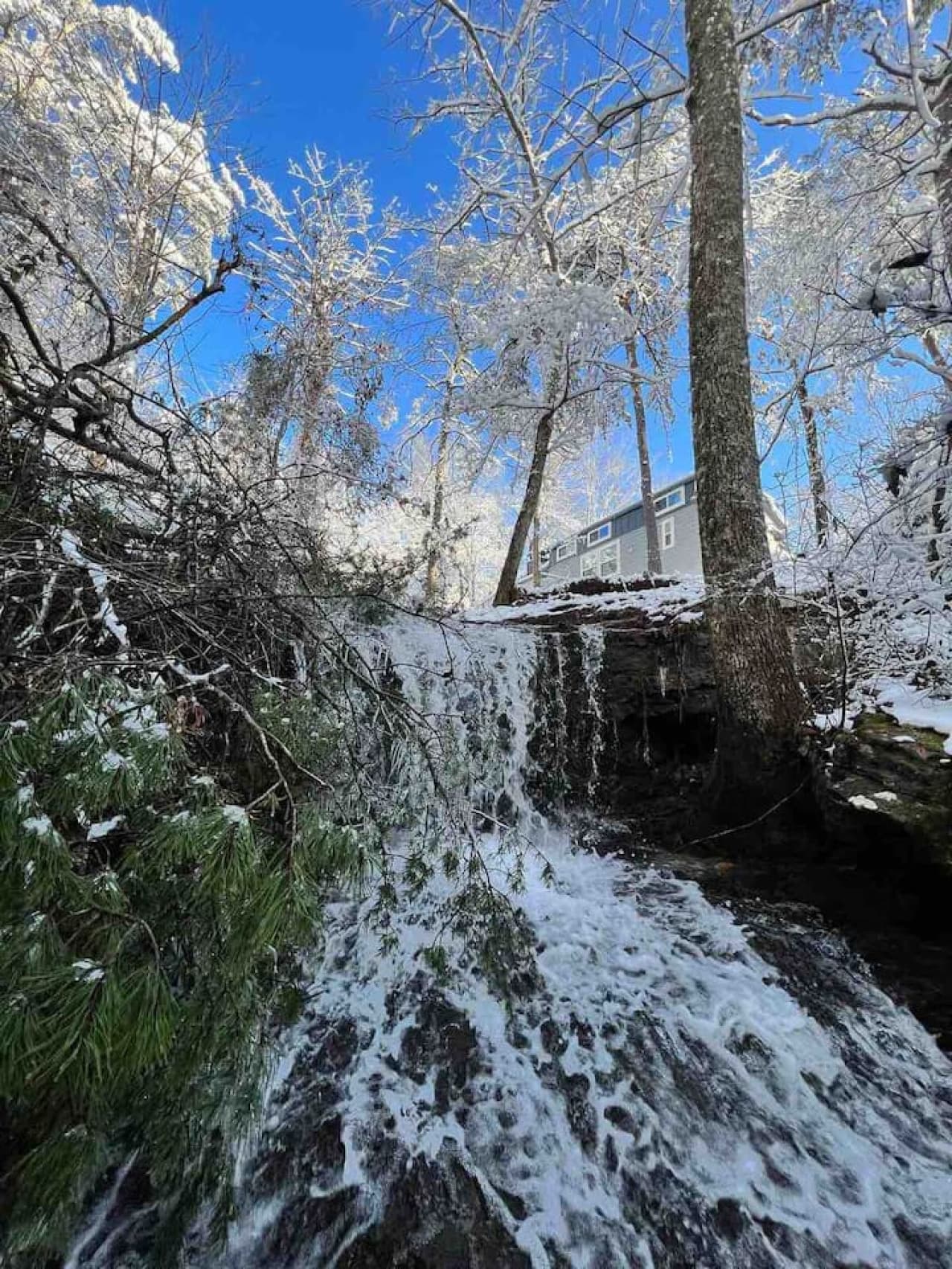 A snow day at the farm transforms Blueberry Falls into a serene winter wonderland.