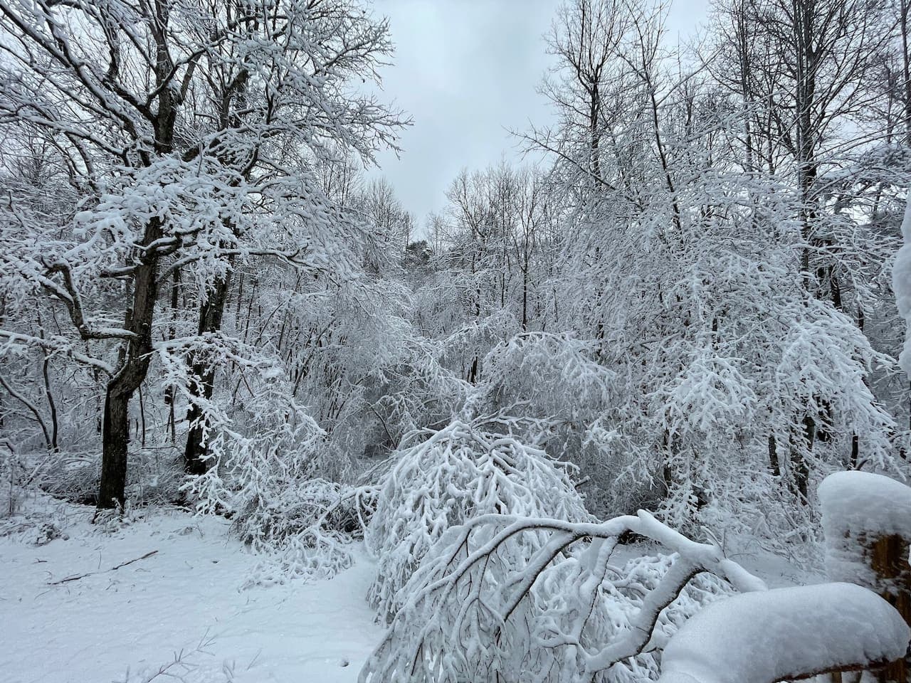 A snowy day at the farm turns Blueberry Falls into a peaceful winter wonderland straight out of a storybook.
