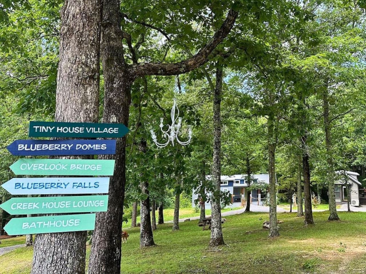 Blueberry Falls Farm offers a peaceful retreat surrounded by creeks, waterfalls, and blueberry fields—a perfect blend of nature, relaxation, and small-town charm.