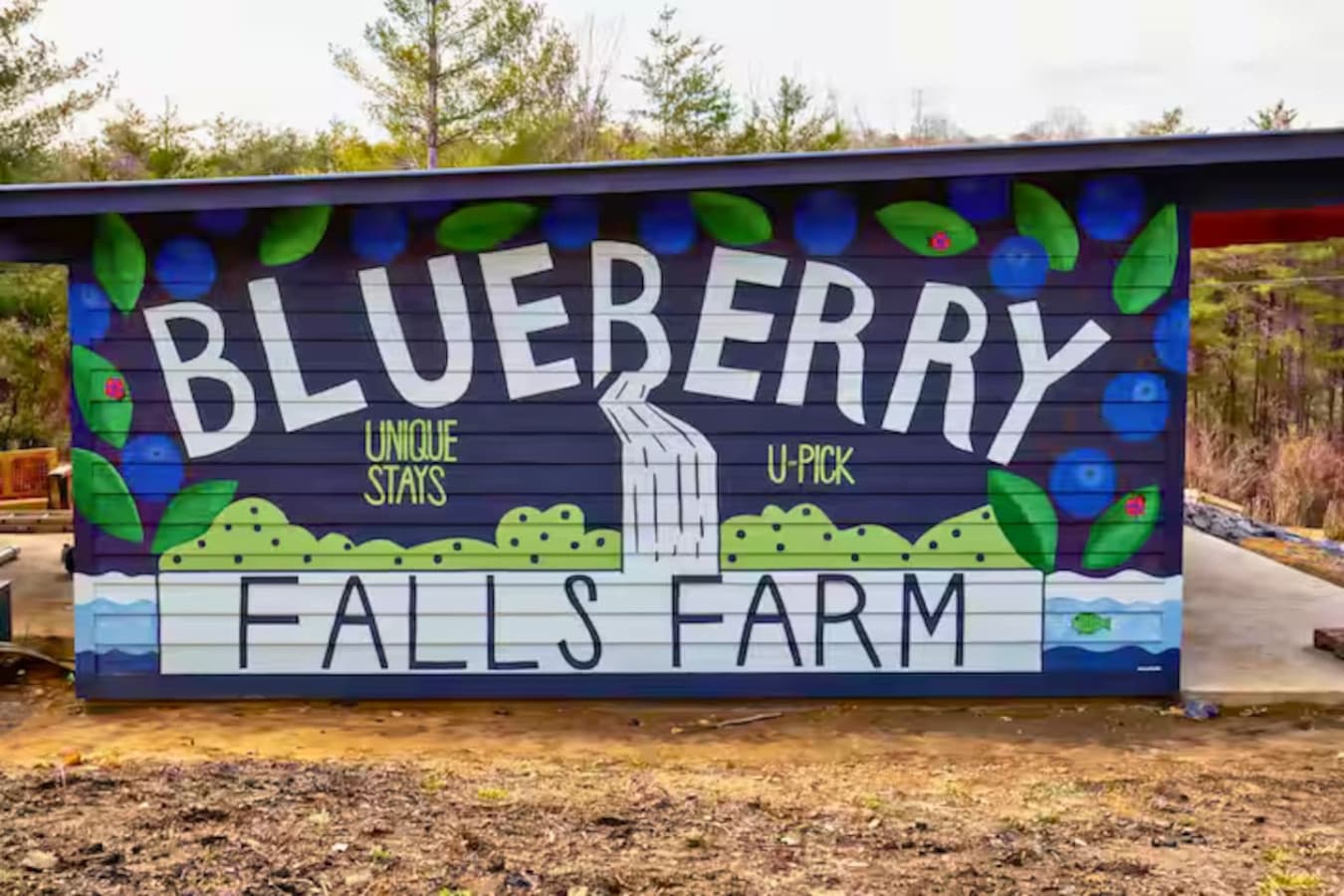 The Blueberry Falls Farm mural art greets guests with vibrant colors and local charm, capturing the spirit and beauty of the farm.